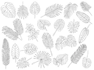 23 Tropical Leaves in doodle style. Palm leaves, Vector hand drawn black line design elements. Exotic summer botanical illustrations.