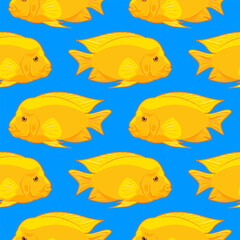 Naklejka premium Yellow tropical fish seamless pattern. aquarium animals in flat style. Cichlid family. Cichlasoma citrinellum. pet care. For wallpaper, fabric, wrapping, background.
