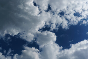 Fototapeta premium sky is overhead . white cumulus clouds floating across the sky, daytime sky, screensaver sky, background