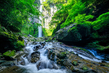 夏の東椎屋の滝　大分県宇佐市　Higashi Shiiya Falls in summer. Ooita Pref, Usa City.	