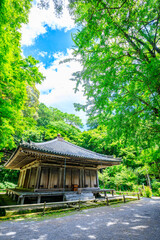 夏の富貴寺　大分県豊後高田市　Fukiji temple in summer. Oita Pref, Bungoono City.