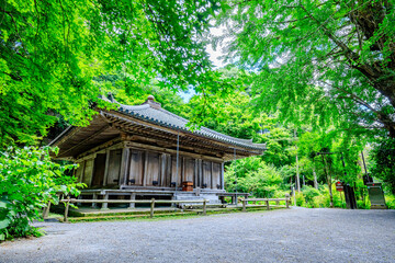 夏の富貴寺　大分県豊後高田市　Fukiji temple in summer. Oita Pref, Bungoono City.