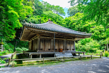 Fototapeta premium 夏の富貴寺 大分県豊後高田市 Fukiji temple in summer. Oita Pref, Bungoono City.