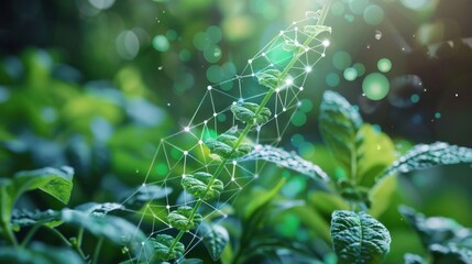 Biotechnology: Employs biological systems to innovate products in medical, agricultural, and industrial fields, advancing technology for sustainable solutions.
