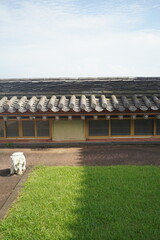 Buddhist temples in Jeju Island