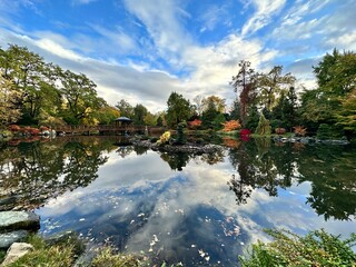 Pond with island and lake on autumn © Pawe