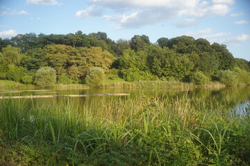 lake in the forest