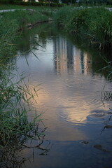 reflections in the water