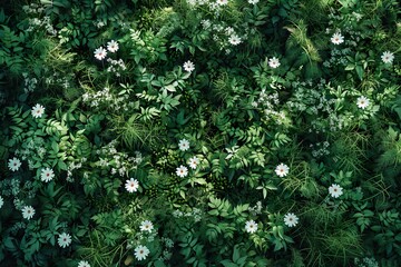 Lush Greenery with White Flowers