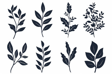 A set of eight black and white botanical illustrations of various plants and leaves.