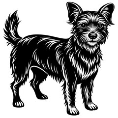 illustration of dog,wolf, head, dog, vector, animal, black,