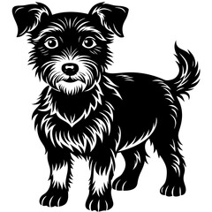 illustration of dog,wolf, head, dog, vector, animal, black,