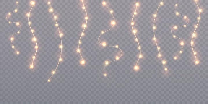 Christmas golden lights isolated on transparent background. For New Year and holiday decoration.	