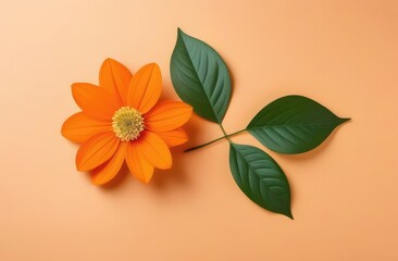 Obraz premium Orange flower with green leaves on beige background. Elegant floral composition.