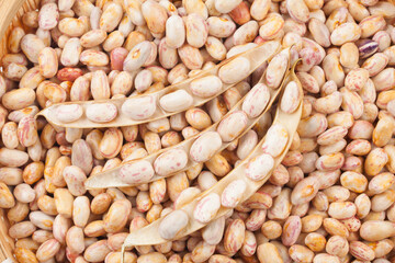  An annual herb from the legume family. The height is 60~100cm, and the leaves are alternate, three compound leaves, and have hairs.

