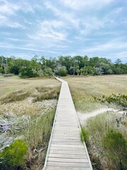 wooden bridge in the forest