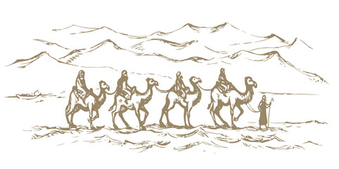 Camel caravan travels. Vector drawing