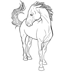 Png Horse linear drawing animal line art clip art design sketch black outline coloring book page horse silhouette racing close up detailed illustration realistic comic style wild doodle print contour