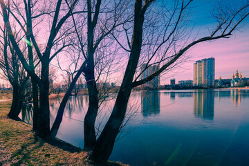 Fototapety na wymiar - Fototapeta24.pl