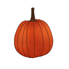 Yellow pumpkin or (Cucurbita pepo) watercolor illustration, cartoon of fruit and vegetable for autumn on transparent background