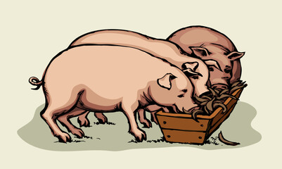 Vector drawing. Pigs eating rhe food
