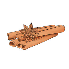 cinnamon roll or (cinnamomum verum) cartoon, watercolor illustration for autumn or fall on transparent background