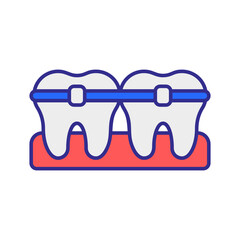 Teeth