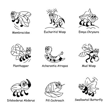 Set of 09 Insects Mascot Doodle Icons 

