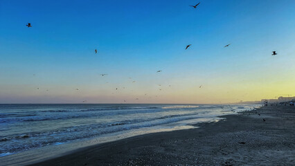 Sea, seashore  - Europe, Romania, Constanta region