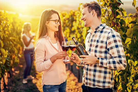 Cheerful millennial caucasian couple tasting wine together on a wineyard - Harvesting, wine tasting and vinification outdoor concept with 20s people on a rural vine farm in sunset