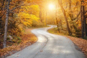 Winding road through a vibrant autumn forest with golden leaves and sunlight filtering through the trees, capturing the essence of fall.