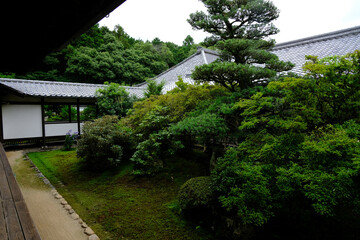 京都山科随心院の境内