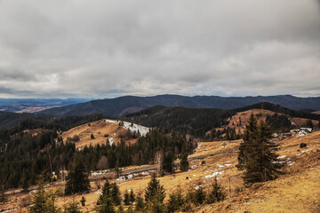Landscapes -  Forest - Europe, Romania, Suceava region