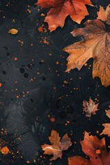 Autumn leaves on black background