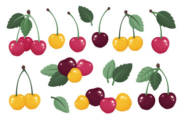Set of Yellow and red cherries isolated. Fresh Cherry bunch. Fruits and berries design. Juices fruits with leaves close up. Berries icons. Delicious Organic food. Vector illustration