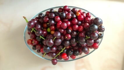 Prunus laurocerasus or Otto Luyken (kara yemis) fruits collected from nature