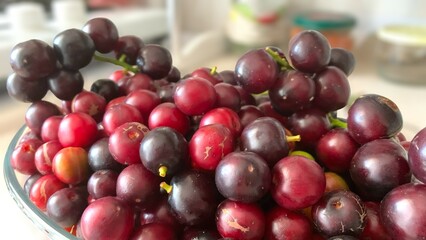 Prunus laurocerasus or Otto Luyken (kara yemis) fruits collected from nature