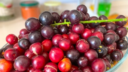 Prunus laurocerasus or Otto Luyken (kara yemis) fruits collected from nature