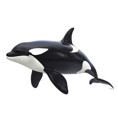 Obraz premium Dolphin png image