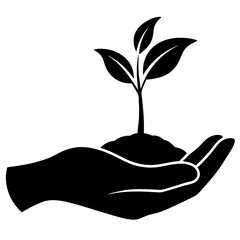 hand holding a plant