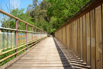 Pasarela de madera en monte