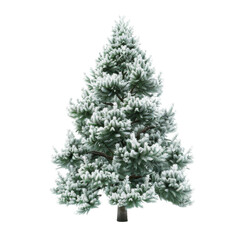 Fototapeta premium Snow-covered evergreen tree isolated on transparent background. Perfect for winter, holiday, and nature-themed designs and projects.