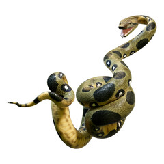 3D Rendering Green Anaconda on White