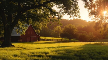 Obraz premium Barn in a Field at Sunset