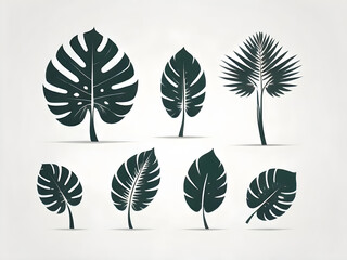Fototapeta premium set palm leaves isolated on white background 