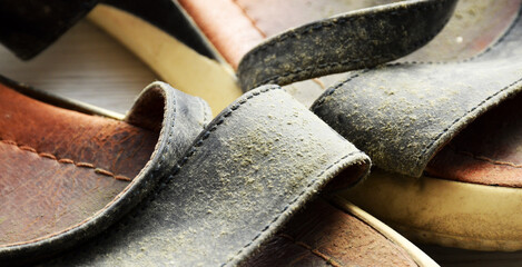 Prevent and remove mould from leather shoes close-up. Summer shoes with abundant mould on a light wood background, top view, with space for text. Pair of summer worn sandals with mold on the surface.
