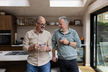 Mature carefree gay couple laughing together at home in the kitchen