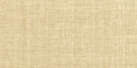 plain canvas fabric texture, papyrus. generative AI.