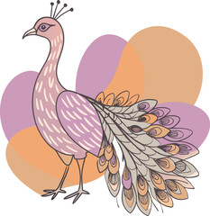 Monochrome peacock. Animal bird vector illustration, peafowl art design