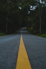 Road way to nature in national park, exploration, journey or adventure in rainforest, Asphalt road in natural area, environmental inspiration green background, concept of Earth day, travel destination